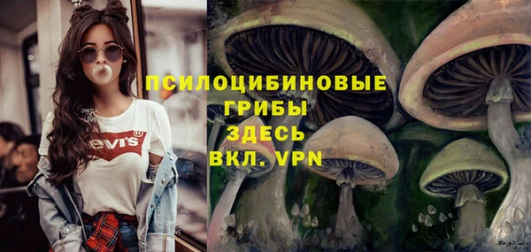 ECSTASY Снежногорск