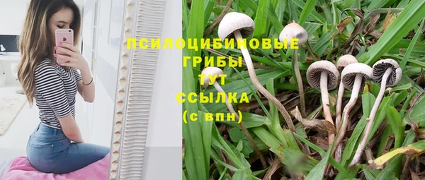 таблы Горно-Алтайск