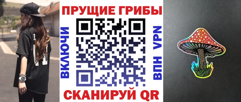 Купить где  Козьмодемьянск  Галлюциногенные грибы Magic Shrooms 